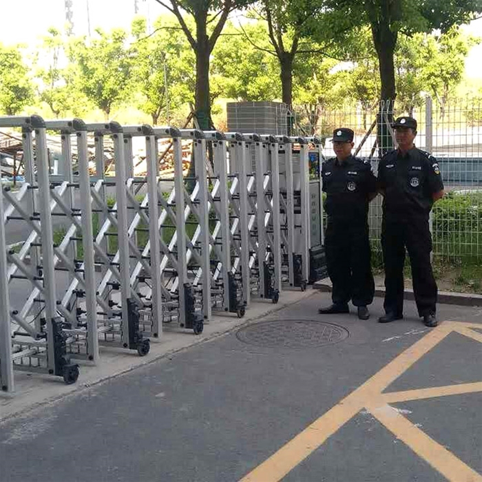 售樓部形象崗位安保服務