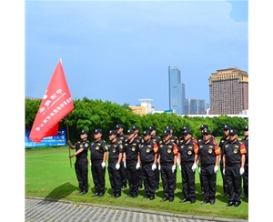 企事業(yè)單位安保服務(wù)