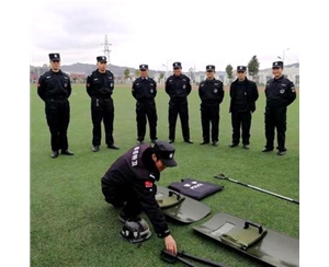 企事業(yè)單位安保服務